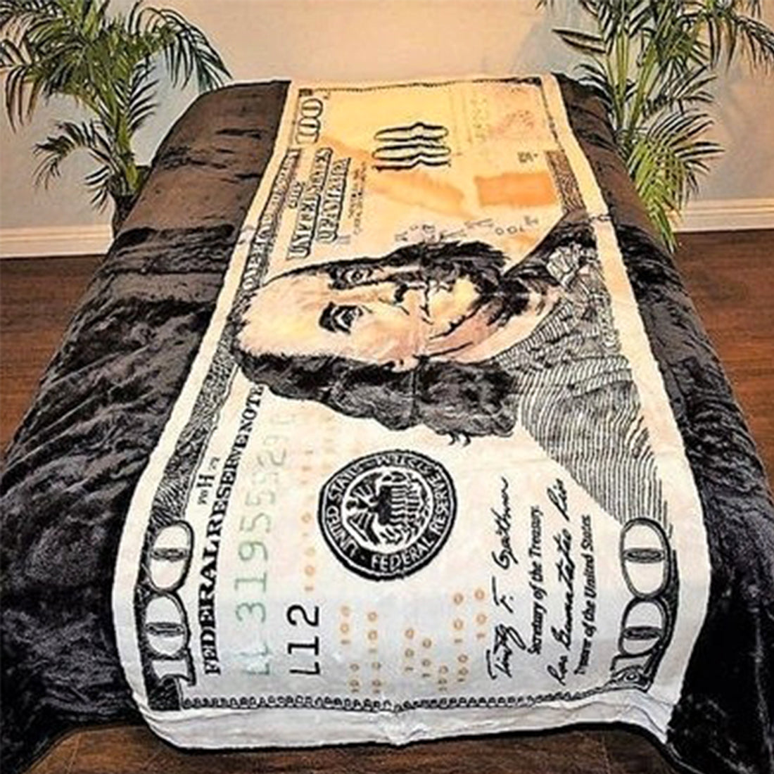 Plush Blanket with Dollar Bill Pattern