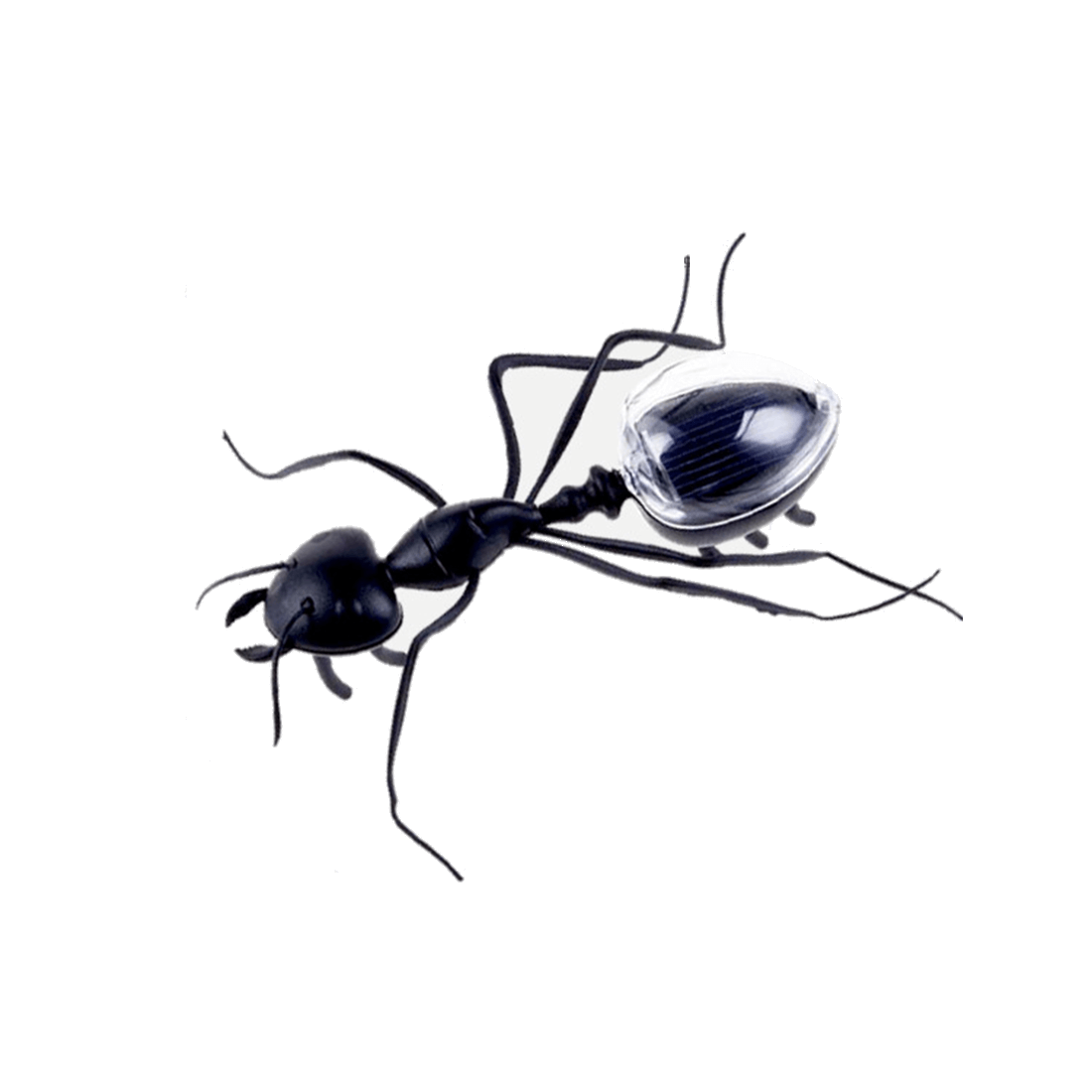 Solar Power Ants Toy