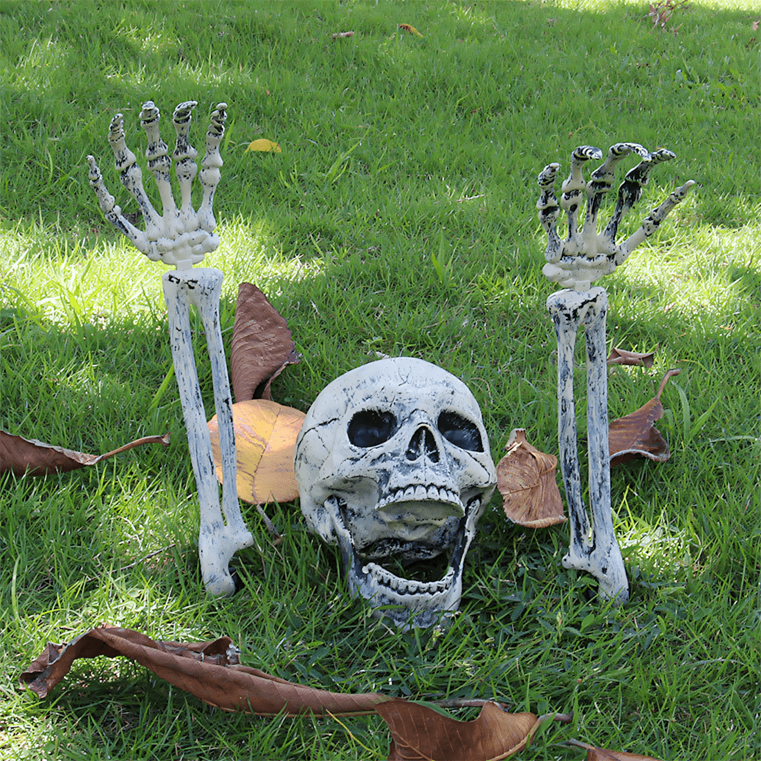 Halloween Decoration - Artificial Ghost Hand and Skull Head